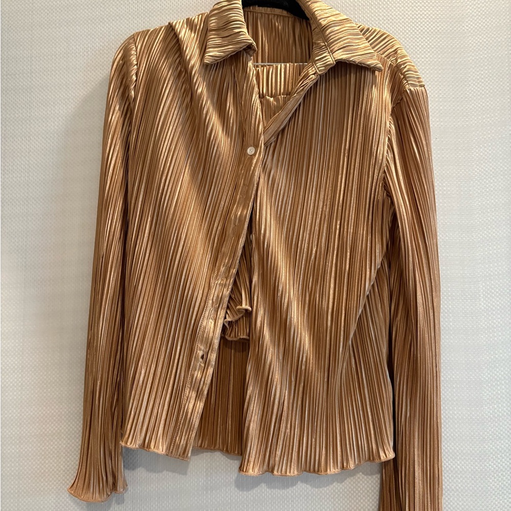 Brown Pleated Long Sleeve Blouse